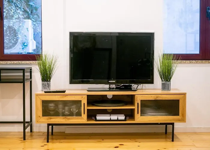 Magnificent Cais De Gaia Duplex 公寓 *